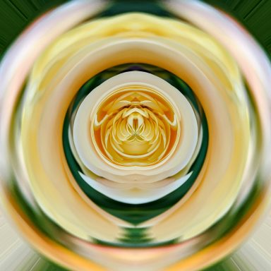 Abstract swirl of yellow and white flower petals with a green background.